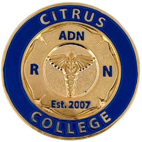 Past Nurse Pins - Citrus College - ADN Nursing Pin